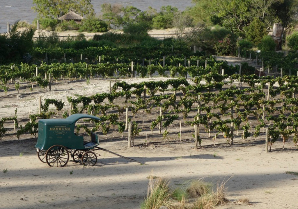 buenos aires-uruguay-5